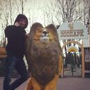 ���������� �����, ���� ������� ���������, 38 ���, ������������ ��� ������, ����� � ���������, c�������� ���������