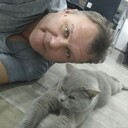  ,   , 55 ,     