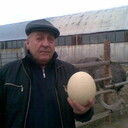  ,   , 65 ,   ,   , c 