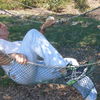  Holon,   Leo, 62 ,   