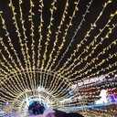 ���������� ���������� �����, ���� ������� ����, 32 ����, ������������ ��� ����� � ���������, c�������� ���������