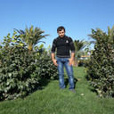 ���������� ����, ���� ������� ����, 43 ����, ������������ ��� ������, ����� � ���������, c�������� ���������