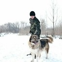  ,   Artem, 31 ,   