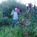  ,   , 53 ,   ,   , c , 