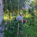 ���������� �����, ���� ������� �����, 68 ���, ������������ ��� ����� � ���������, c�������� ���������, ���������