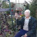  ,   , 65 ,   ,   