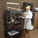 ���������� ������, ���� ������� ������, 46 ���, ������������ ��� ������, ����� � ���������, c�������� ���������