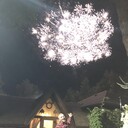 ���������� ����, ���� ������� ������, 28 ���, ������������ ��� ������, ����� � ���������, c�������� ���������