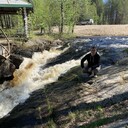 ���������� ������������, ���� ������� �������, 38 ���, ������������ ��� ������, ����� � ���������, c�������� ���������