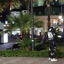 ���������� ����, ���� ������� ����, 39 ���, ������������ ��� ������, ����� � ���������, ���������