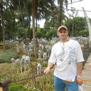  ,   , 50 ,   