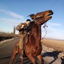 ���������� �����������, ���� ������� ������, 36 ���, ������������ ��� ������, ����� � ���������, c�������� ���������