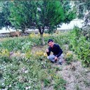 ���������� ������, ���� ������� ���������, 39 ���, ������������ ��� ����� � ���������, c�������� ���������