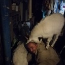 ���������� ������������, ���� ������� �������, 45 ���, ������������ ��� ������, ����� � ���������, c�������� ���������