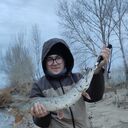 ���������� ��������, ���� ������� ������, 28 ���, ������������ ��� ������, ����� � ���������