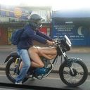 ���������� ������, ���� ������� ���������, 36 ���, ������������ ��� ������