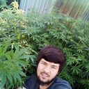 ���������� ��������, ���� ������� ����, 26 ���, ������������ ��� ������, ����� � ���������