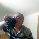  ,   , 62 ,   c 