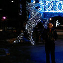 ���������� �����������, ���� ������� ����, 42 ����, ������������ ��� ������, ����� � ���������