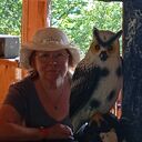 ���������� �����-���������, ���� ������� �����, 70 ���, ������������ ��� ����� � ���������, c�������� ���������