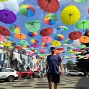 ���������� ������, ���� ������� �����, 31 ���, ������������ ��� ������, ����� � ���������, c�������� ���������, ���������