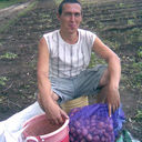  ,   , 52 ,   , 