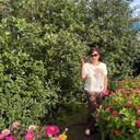 ���������� ��������, ���� ������� ����, 53 ����, ������������ ��� c�������� ���������