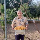  ,   , 54 ,   ,   