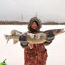 ���������� ������, ���� ������� �����, 40 ���, ������������ ��� ������, ����� � ���������