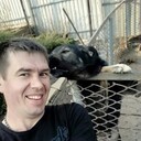  ,   , 38 ,     , c , 