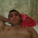 ���������� ����, ���� ������� TELMAN, 100 ���, ������������ ��� ������