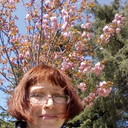  -,   , 52 ,   ,   , c 