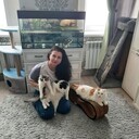  ,   , 46 ,     , c , 