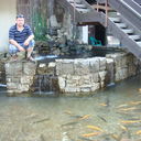  ,   , 53 ,   ,   , c 