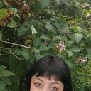  ,   , 53 ,   ,   