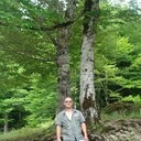 ���������� ���������, ���� ������� ���������, 38 ���, ������������ ��� c�������� ���������