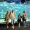 ���������� ������, ���� ������� Oleg, 59 ���, ������������ 