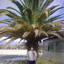 ���������� ������, ���� ������� ������, 52 ����, ������������ ��� ������