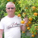  ,   , 72 ,   