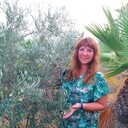 ���������� ���������, ���� ������� �������, 45 ���, ������������ ��� ������, ����� � ���������, c�������� ���������, ���������