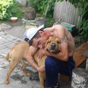   ,   , 52 ,   