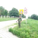 ���������� ���������, ���� ������� ���������, 31 ���, ������������ ��� ������, ����� � ���������