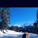 ���������� ����������, ���� ������� ������, 30 ���, ������������ ��� ����� � ���������, c�������� ���������