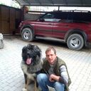  ,   , 36 ,   