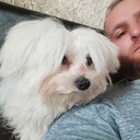 ���������� ���������, ���� ������� �������, 38 ���, ������������ ��� ������, ����� � ���������, c�������� ���������