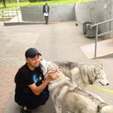 ���������� ������, ���� ������� ������, 43 ����, ������������ ��� ������, ����� � ���������, c�������� ���������