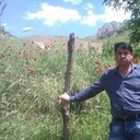 ���������� ������ ��������, ���� ������� ����, 51 ���, ������������ 