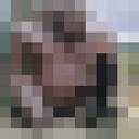 ���������� �����������, ���� ������� ����������, 29 ���, ������������ ��� ������, ����� � ���������