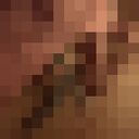 ���������� �����-���������, ���� ����� ������, 22 ����, ������������ ��� ������, ����� � ���������