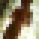  ,     , 38 ,   ,   , c , 